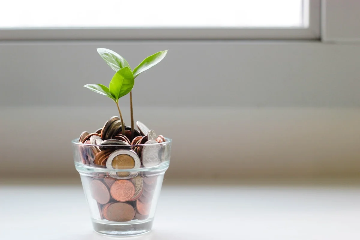 A small green shoot growing in a clear glass of water.